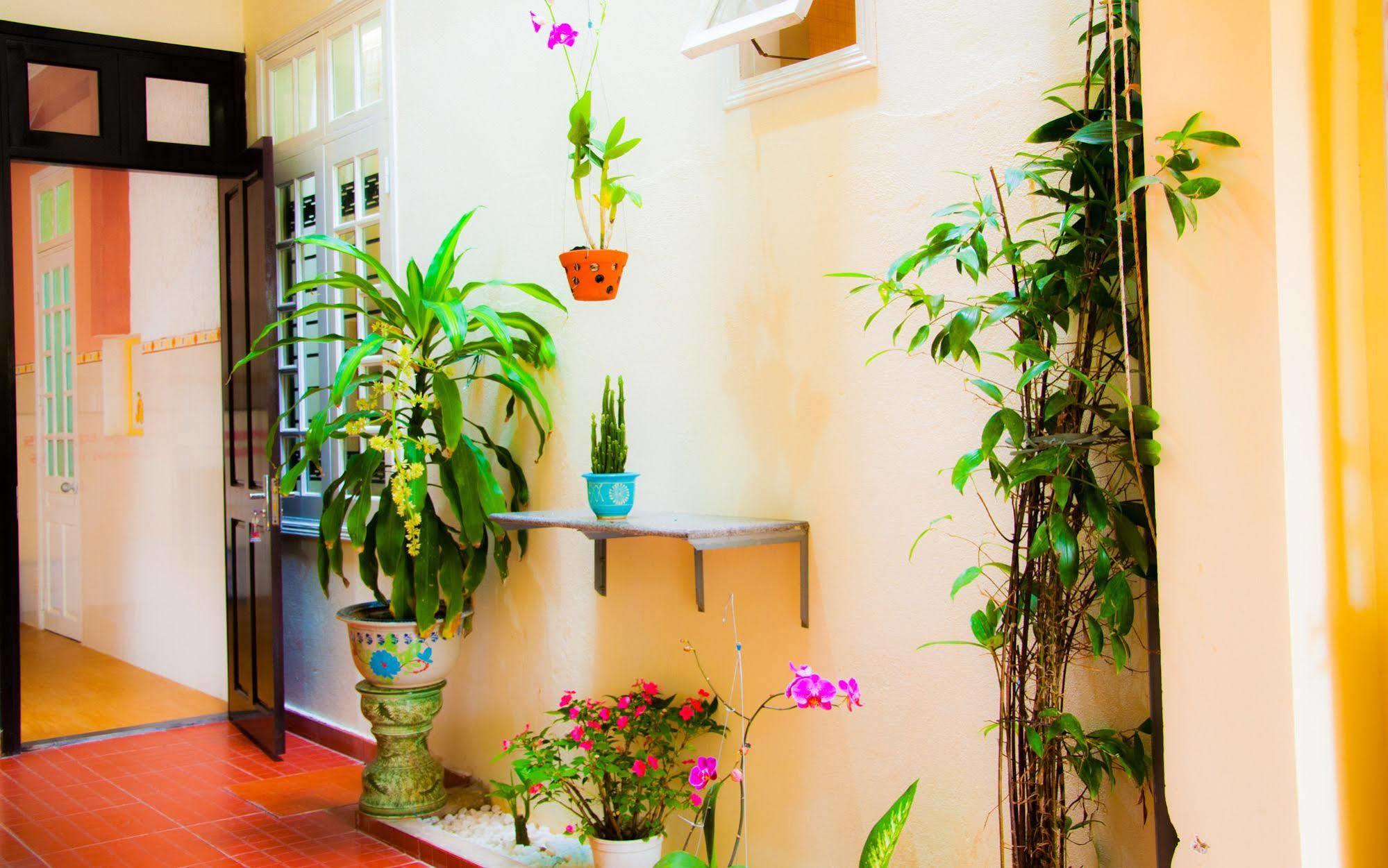 Memories Homestay 호이안 외부 사진